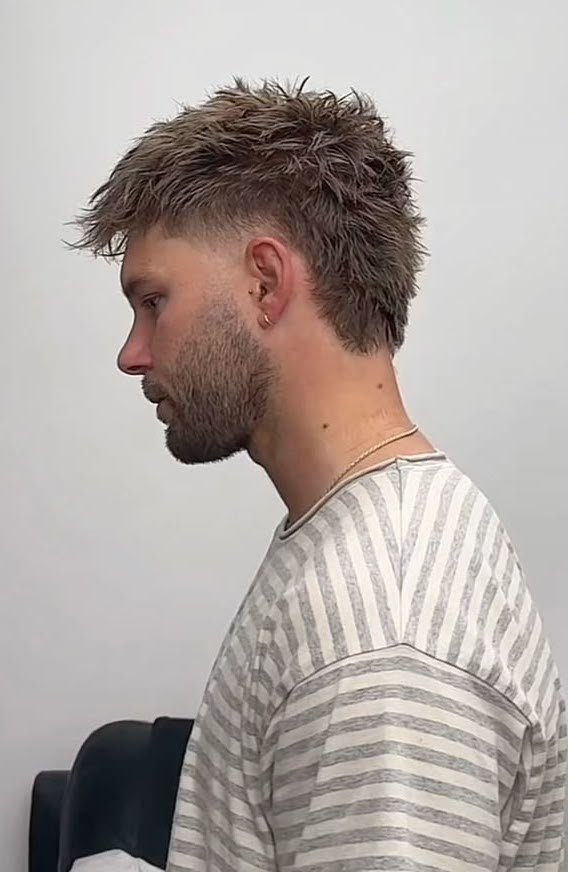https://www.alanhoward.co.uk/Images/Editor/blog%20mullet%20soft.jpeg