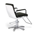 Takara Belmont Adria Styling Chair Alternative Image