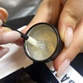 Lashbase Lifted. Adhesive Balm 10g Alternative Image