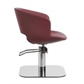Luca Rossini Elena Hairdressing Chair Alternative Image