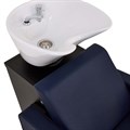 REM Orion Backwash Unit - Custom Colour Alternative Image