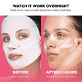 Skin Republic Overnight Vitamin C Hydrogel Face Mask Alternative Image