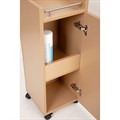 Scorpion Glamos Hairdressing Beauty Trolley Alternative Image