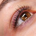 LashBase Lifted. Korean-Inspired Lash Lift Kit With Cysteamine Alternative Image