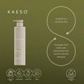 Kaeso B3 Calming Facial Moisturiser - 485ml Alternative Image