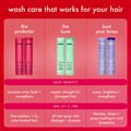 amika The Protector Color Protect + Strengthen Shampoo - 275ml Alternative Image