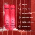 amika The Protector Color Protect + Strengthen Conditioner - 275ml Alternative Image