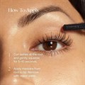 UKLASH The Iconic Lashes Kit - Black Alternative Image