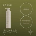 Kaeso B3 Calming Facial Cleanser - 485ml Alternative Image