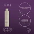 Kaeso Pro-Col Restoring Facial Toner - 495ml Alternative Image