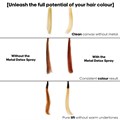 L'Oréal Professionnel Metal Detox Hair Treatment Spray - 500ml Alternative Image