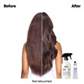 L'Oréal Professionnel Metal Detox Hair Treatment Spray - 500ml Alternative Image