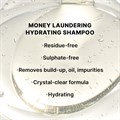 Color Wow Money Laundering Shampoo % Conditioner Travel Duo Alternative Image