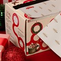 Framar Embossed Hair Foil Roll - Holly Days 320ft Alternative Image