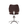 Scorpion Cork Lincoln Styling Chair Alternative Image