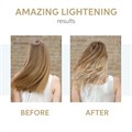 Wella Freelights Freehand Lightening Powder - 400g Alternative Image