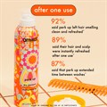 amika mini-mension haircare kit Alternative Image