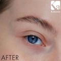 Kalentin Brow Lamination Home Application Kit Alternative Image