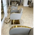 Scorpion Mora Salon Styling Chair - Mushroom & Gold Alternative Image