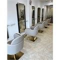 Scorpion Mora Salon Styling Chair - Mushroom & Gold Alternative Image
