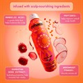 amika perk up plus dry shampoo 5.3oz Alternative Image