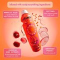 amika perk up plus dry shampoo travel size - 68ml Alternative Image