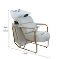 Scorpion Halden Salon Backwash Chair Unit - Champagne Alternative Image
