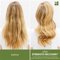 Biolage Strength Recovery Cleansing Shampoo 1L Alternative Image