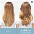Biolage Volumebloom Shampoo 250ml Alternative Image