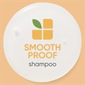 Biolage Smooth Proof Shampoo - 250ml Alternative Image