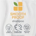 Biolage Smooth Proof Shampoo - 250ml Alternative Image
