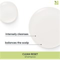 Biolage Scalp Clean Reset Normalising Shampoo 1L Alternative Image