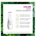 Biolage Colorlast Purple Shampoo - 250ml Alternative Image