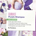 Biolage Core Colorlast Purple Shampoo 50ml Alternative Image