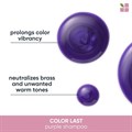 Biolage Core Colorlast Purple Shampoo 50ml Alternative Image