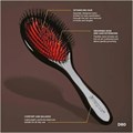 Denman D80S Small Nylon Bristle Brush Alternative Image