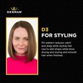 Denman D3 Iconic Crown Black Alternative Image