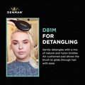 Denman D81M Medium Style & Shine Hair Brush Alternative Image
