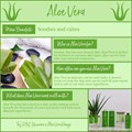 SBC Aloe Vera Face And Body Moisturising Gel 300ml Alternative Image