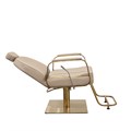 Scorpion Sunne Reclining Salon Chair - Mushroom Alternative Image