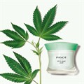 PAYOT Pate Grise Jour 50ml - TESTER Alternative Image