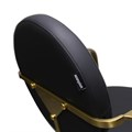 Scorpion Halden Salon Styling Chair - Black & Gold Alternative Image