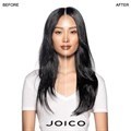 Joico InnerJoi Airdry/Blowout Lotion 150ml Alternative Image