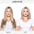 Joico Blonde SilverLights Lightener 454g Alternative Image