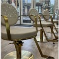 Scorpion Halden Salon Styling Chair - Mushroom Alternative Image