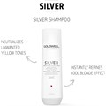 Goldwell DualSenses Silver Shampoo 250ml Alternative Image