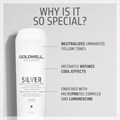 Goldwell DualSenses Silver Conditioner 200ml Alternative Image