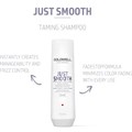 Goldwell DualSenses Just Smooth Shampoo 250ml Alternative Image