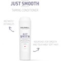 Goldwell DualSenses Just Smooth Conditioner 200ml Alternative Image