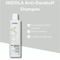 Indola Anti-Dandruff Professional Shampoo - 300ml Alternative Image